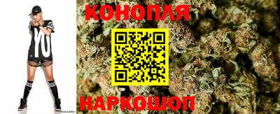 гашик Чапаевск