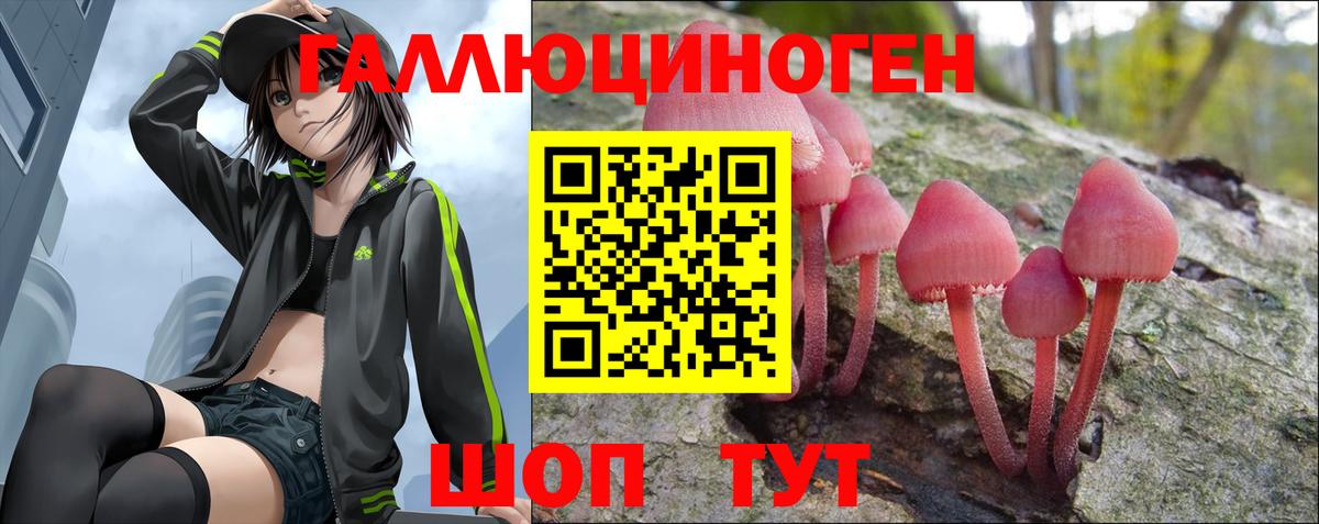 Отрадное  Псилоцибиновые грибы MAGIC MUSHROOMS  Вход с VPN  Псилоцибиновые грибы GOLDEN TEACHER 